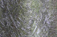 Mevagissey fibreglass roof work